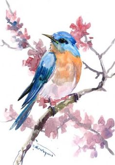 a watercolor painting of a blue bird perched on a branch with pink flowers in the background