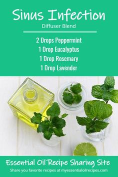 Essential Oil Diffuser Blends For Sinus Congestion, Sinus Diffuser Blend Doterra, Sinus Blend Essential Oils, Eo For Sinus Infection, Essential Oils Sinus Infection, Sinus Diffuser Blend, Sinus Congestion Diffuser Blend, Essential Oil Recipes For Colds, Sinus Infection Essential Oils