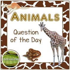 an animal book with the title'animals question of the day '