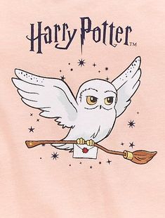 a harry potter t - shirt with an owl holding a broom on it's back