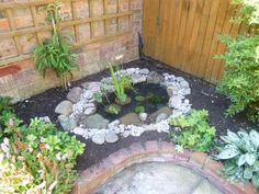 a small pond in the middle of a garden with rocks and plants growing around it