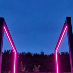 two large pink lights are lit up in the night sky over some bushes and trees