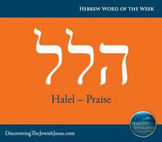 the hebrew word of the week halel - praise with an orange background and white letters