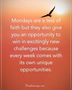 a bird flying in the sky with text that reads, mondays are a test of faith but they also give you an opportunity to win