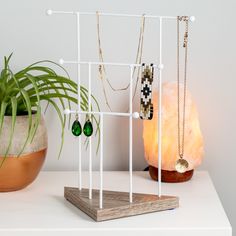 a table with a potted plant and some jewelry on it, next to a lamp