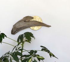 a bird is perched on top of a branch next to a round object with a gold disc in the background