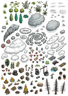 an illustrated drawing of different types of plants and trees in the air, with clouds above them