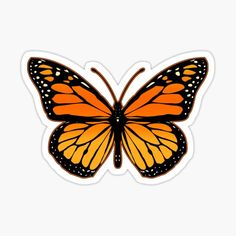 an orange and black butterfly sticker on a white background