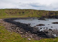 the rocky shore is surrounded by green grass