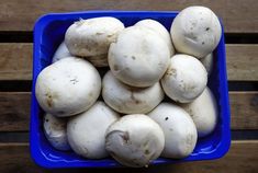 a blue bowl filled with white mushrooms on top of a wooden table