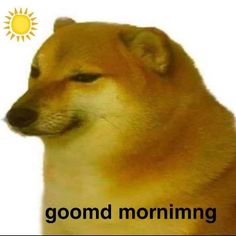 an image of a dog with the words good morning on it's back side