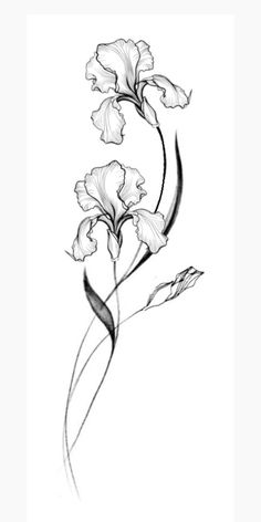 a black and white drawing of flowers with long stems on the left side of the image