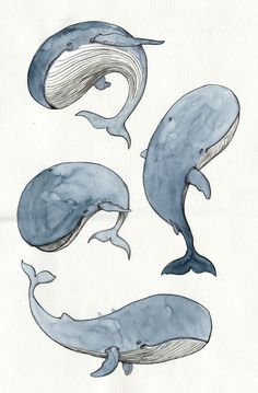 an image of some blue whales in watercolor and ink on paper with the caption dancing whales art print by michael bitron