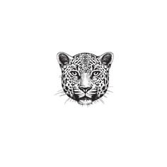 a black and white drawing of a leopard's face