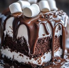 a chocolate cake with marshmallows on top and drizzled in chocolate