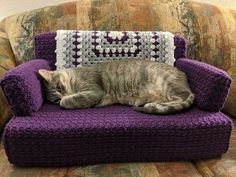 a cat sleeping on a purple couch with a crocheted pillow behind it's head