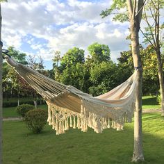 a hammock hanging between two trees in a park