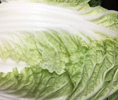 lettuce leaves are shown in close up