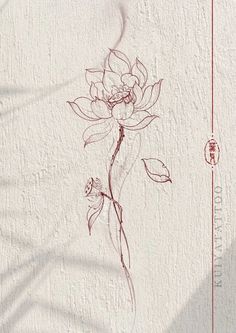 a drawing of a flower on a white wall