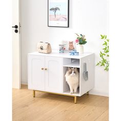 a white cabinet with a cat sitting in it