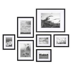 a set of six framed photographs hanging on a wall