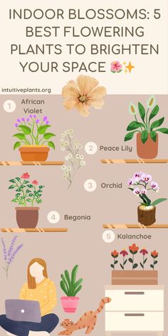 an info sheet with flowers and plants on it, including the words indoor blossoms best flowering plants to brighten your space