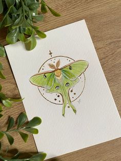 a card with a green moth on it