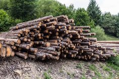 a pile of logs sitting on top of a dirt field