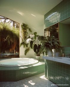 a bathroom with a jacuzzi tub and potted plants