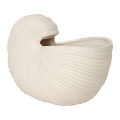 a white vase that is shaped like a shell