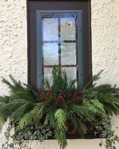 a window sill filled with plants and pine cones