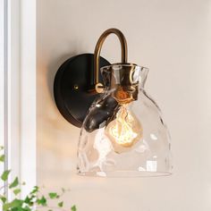 a light fixture with a glass shade on the wall next to a potted plant