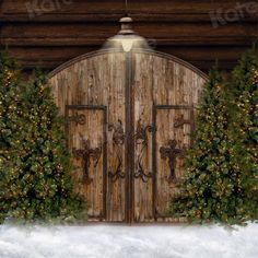 a painting of an open door with christmas trees around it