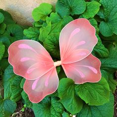 a pink butterfly sitting on top of green leaves