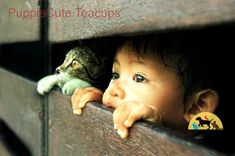 a small child is peeking out from behind a ledge with a stuffed animal in it