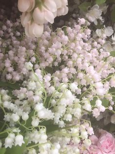 a bunch of white and pink flowers in a vase