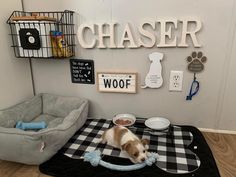 a brown and white dog laying on top of a rug next to a black and white checkered blanket