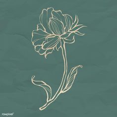 a drawing of a flower on a green background