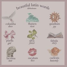 the beautiful latin words poster is shown in pink and white with an image of a woman's face