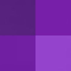 an image of a purple color scheme