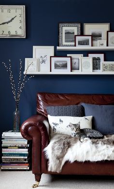 a living room with blue walls and pictures on the wall, couches, and coffee table