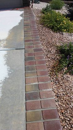 a dog is standing on the side walk in front of a house with a driveway