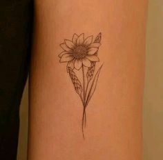 Fine line arm  tattoo ideas for women Line Arm Tattoo, Fine Line Arm Tattoo, Arm Tattoo Ideas For Women, Tattoo Ideas 2022, Cool Animal Tattoos, Arm Tattoo Ideas, 30 Something