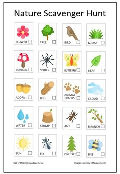 a printable nature scavenger hunt for kids with pictures and words on it