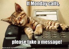 a cat sleeping on top of a telephone receiver with the caption if monday calls, please take a message