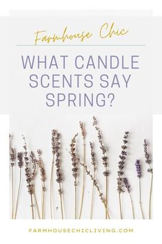 lavender flowers with text that reads farmhouse chic what candle scent's say spring?