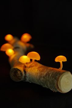 small mushrooms are lit up by candles in the dark night, as if they were growing out of a log