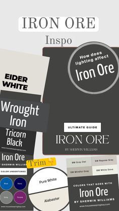 the iron ore brochure is shown with different colors and font options on it