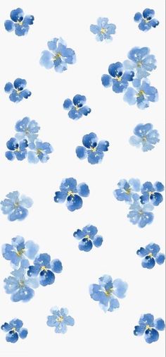 blue flowers on a white background