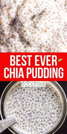 the best ever chia pudding recipe in a bowl